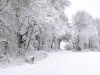 Winter 2 - (c) M Brunnert.jpg